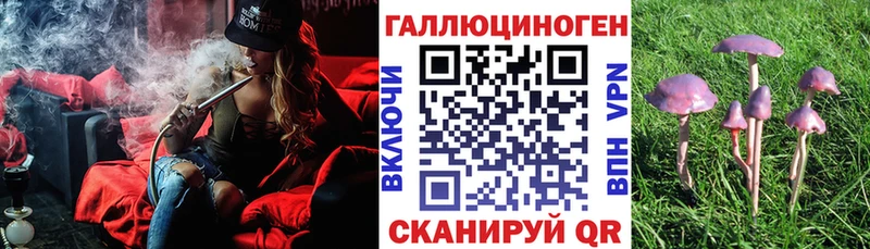 Галлюциногенные грибы Psilocybe  закладка  Новотроицк 